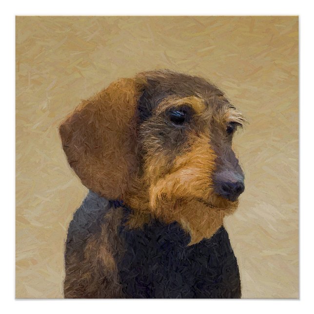 Dachshund (Wirehaired) Painting Original Dog Art Poster (Front)