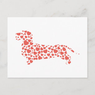 Dachshund Wirehaired Postcard