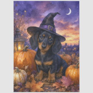 Dachshund Witch Hat Pumpkin Tissue Paper