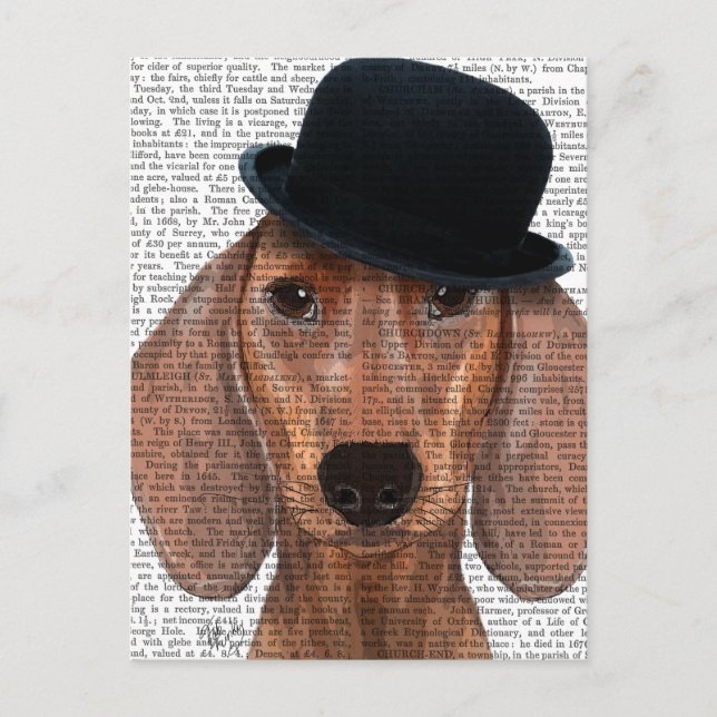 Dachshund with Black Bowler Hat Postcard (Front)
