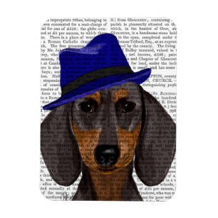 Dachshund With Blue Trilby Magnet