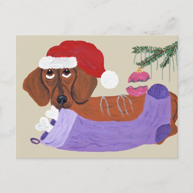 Dachshund With Christmas Stocking Holiday Postcard (Front)