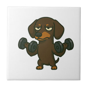 Dachshund with dumbbell fitness training biceps wo ceramic tile