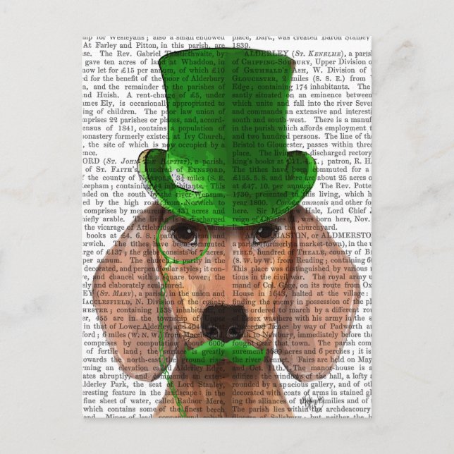 Dachshund With Green Top Hat and Moustache Postcard (Front)