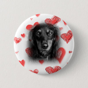 Dachshund with Red Hearts 6 Cm Round Badge