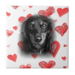 Dachshund with Red Hearts Ceramic Tile
