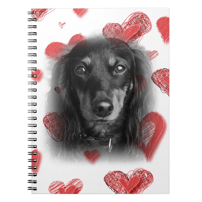 Dachshund with Red Hearts Notebook (Front)