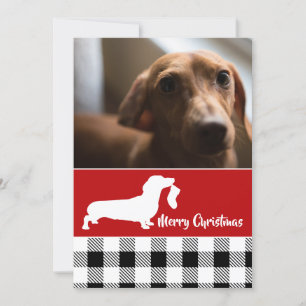 Dachshund with Stocking Holiday Photo Card