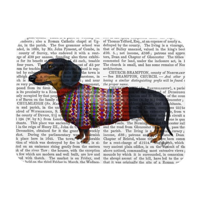 Dachshund With Woolly Sweater Magnet (Horizontal)