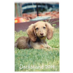 Dachshunds 2014 calendar