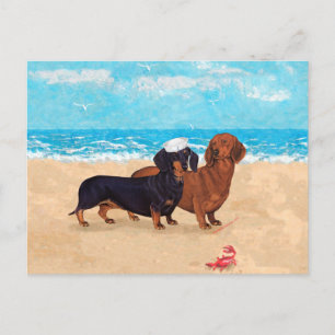 Dachshunds at the Beach Postcard