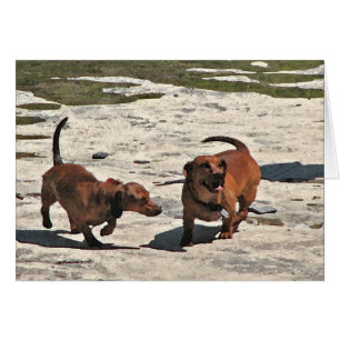 Dachshunds Blank Card