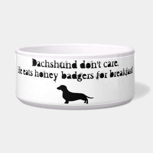 Dachshunds eat honey badgers