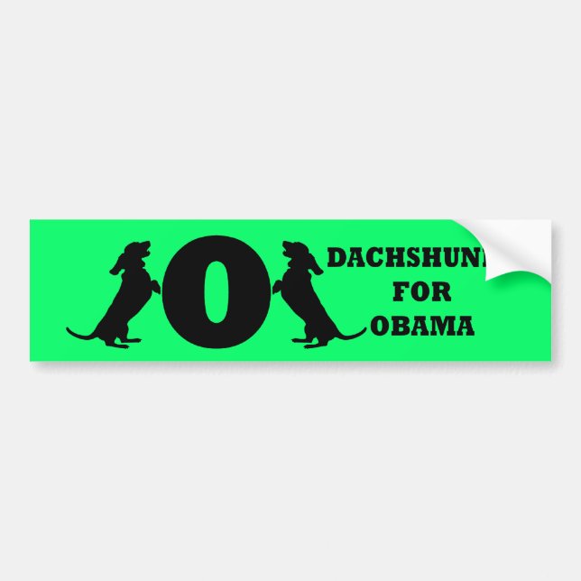 dachshunds for Obama Bumper Sticker (Front)