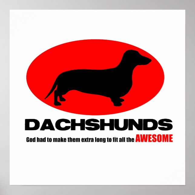 Dachshunds -God made them extra long Poster (Front)