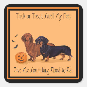Dachshunds Halloween Square Sticker