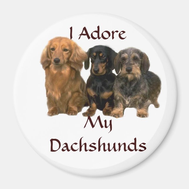 Dachshunds I Adore Magnet (Front)