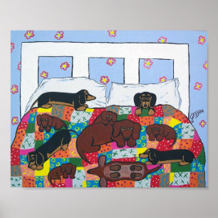Dachshunds in Bed Poster Art