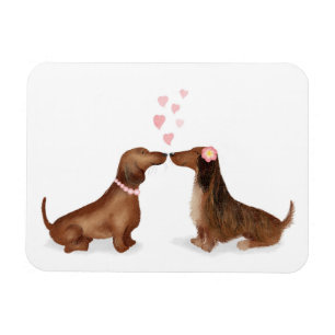 Dachshunds in love fridge magnet (two girls)
