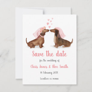 Dachshunds in love save the date card (girl/girl)