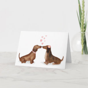 Dachshunds in love Valentine's card (two girls)