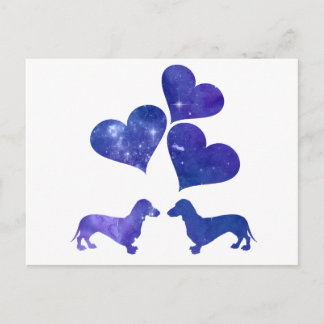 Dachshunds Postcard
