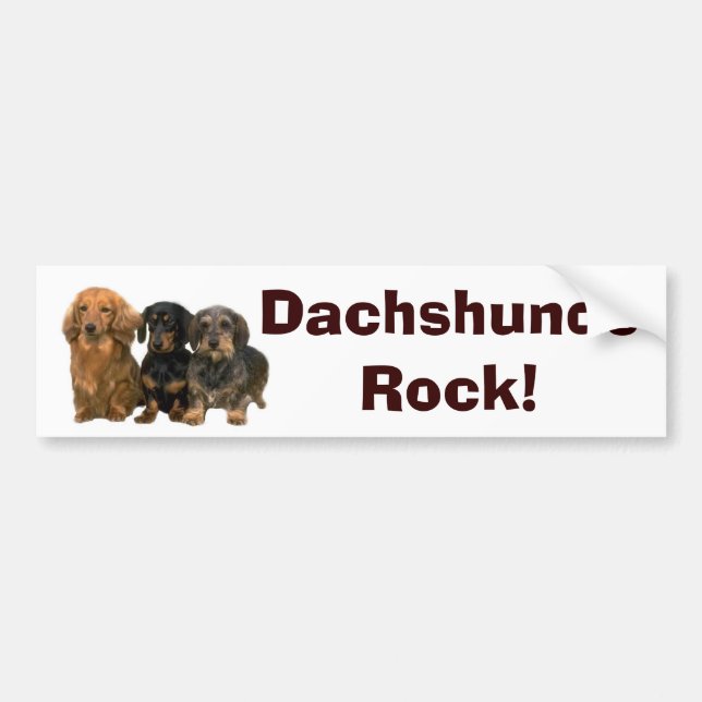Dachshunds Rock Bumper Sticker (Front)