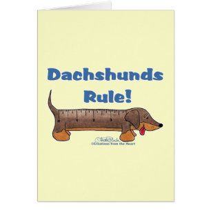 Dachshunds Rule
