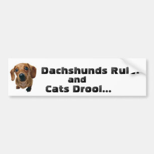 Dachshunds Rule! and Cats Drool... Bumper Sticker