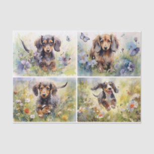 Dachshunds Tissue Paper