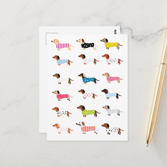 Dachsund Dog Watercolor  Postcard (Front/Back In Situ)