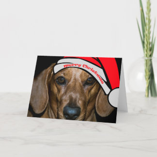 Dachsund's Merry Christmas Card