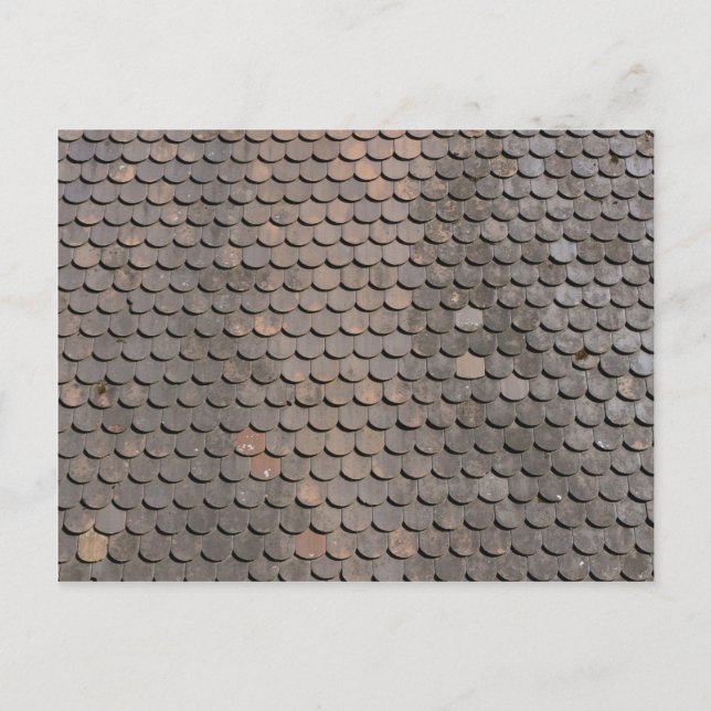 Dachziegel Fischmuster Postcard (Front)