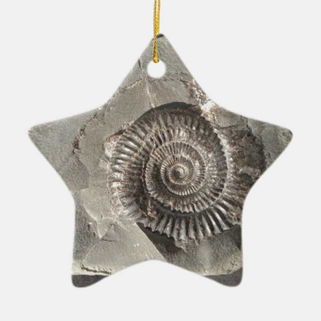 Dactylioceras ammonite in rock ceramic ornament (Front)