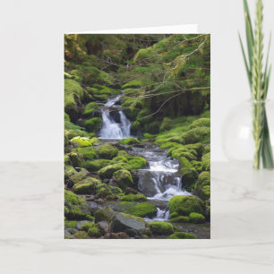 Dad Birthday General Card