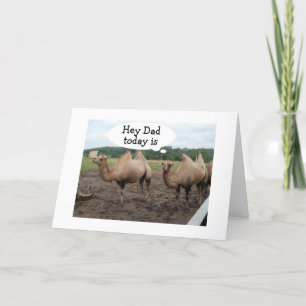 **DAD** CAMELS SAY NO HUMP DAY-IT'S YOUR BIRTHDAY CARD