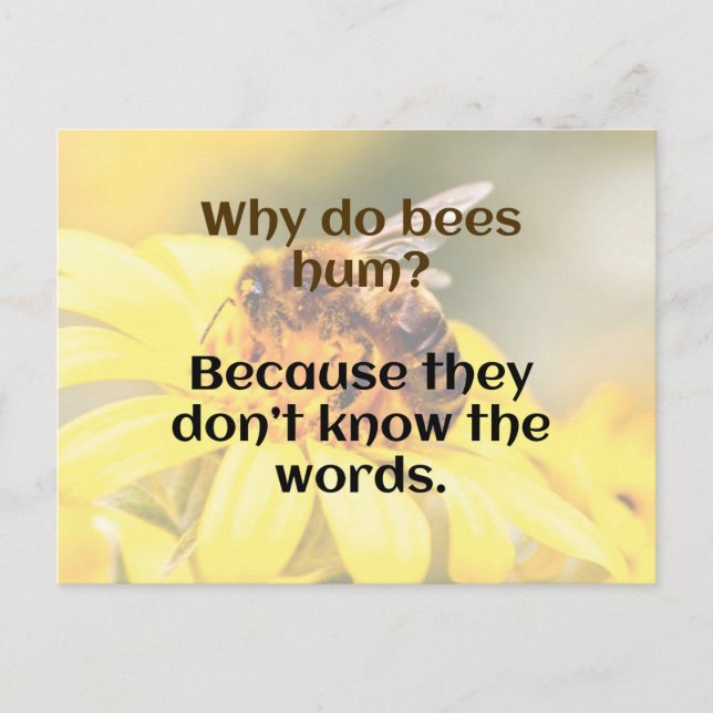 DAD JOKE:  Bee Humour Postcard (Front)