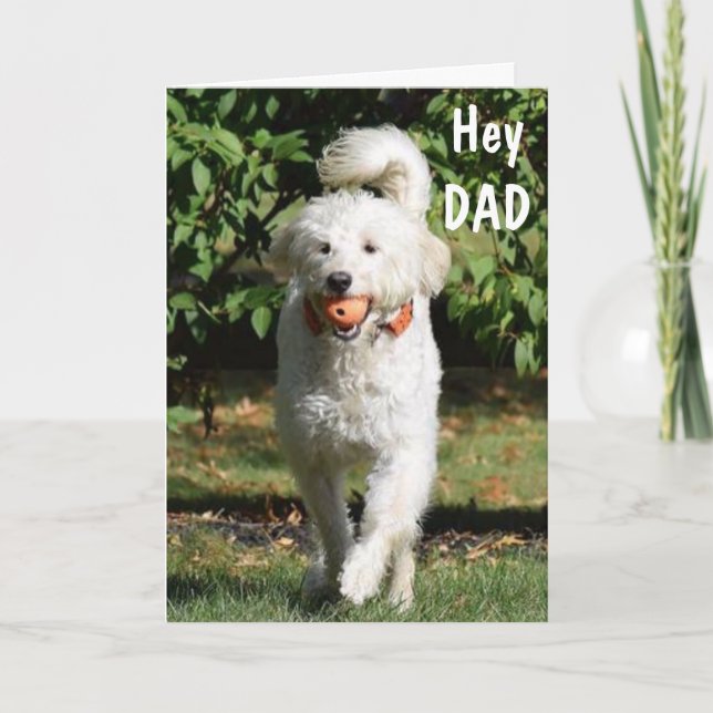 ****DAD*** U MAKE EVERYDAY HAPPY-BIRTHDAY LOVE CARD (Front)