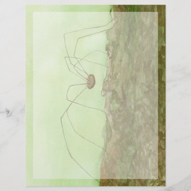 Daddy Long Legs (Front)