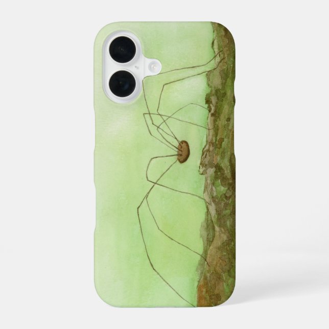 Daddy Long Legs iPhone 16 Case (Back)