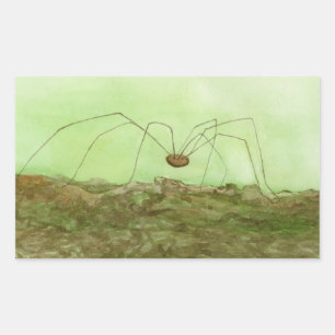 Daddy Long Legs Rectangular Sticker