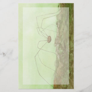 Daddy Long Legs Stationery