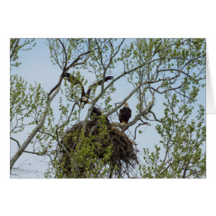 Daddys Home Greeting Card