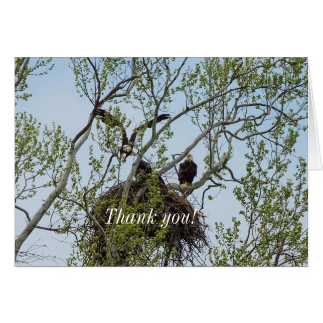 Daddys Home Thank You Card (Front Horizontal)