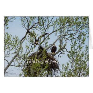 Daddys Home Thinking Of You Card