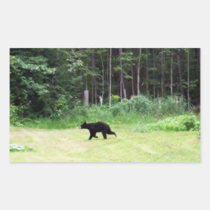 Dads Black Bear  Rectangular Sticker
