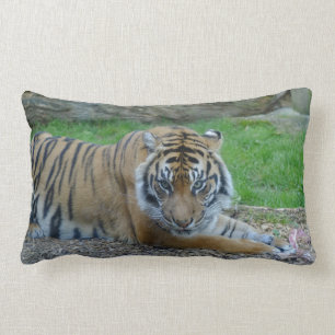 Dad's Tiger Lumbar Cushion