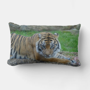 Dad's Tiger Lumbar Pillow