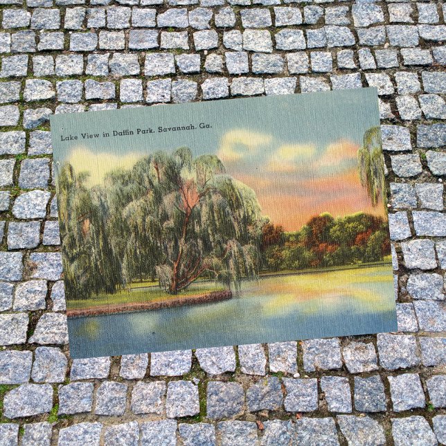 Daffin Park Lake View Savannah GA retro Postcard (Creator Uploaded)