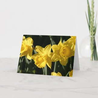 Daffodil 023 card